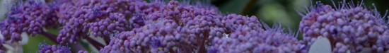 header_seite01