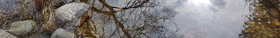 img02b_2200x300